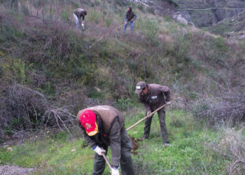Santa Marta oferta un curso de jardinería para desempleados