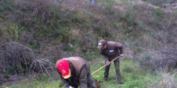 Santa Marta oferta un curso de jardinería para desempleados
