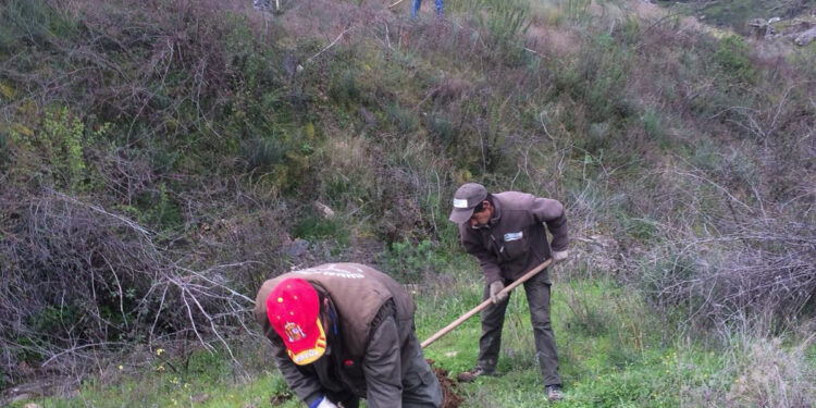 Santa Marta oferta un curso de jardinería para desempleados