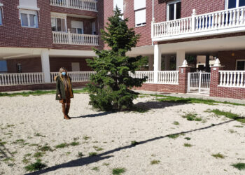 El Consistorio hormigonará el parterre de Julián Sánchez El Charro para mejorar su imagen