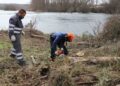 Comienza la reforestación de la ribera del río