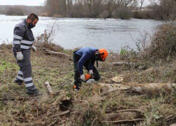 Comienza la reforestación de la ribera del río