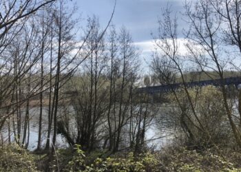 Una planta potabilizadora y la segunda captación desde el río garantizarán el ciclo del agua para el futuro desarrollo del municipio