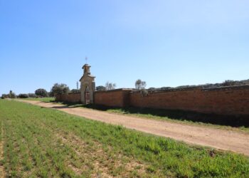 El Ayuntamiento inicia la recuperación de la ‘Senda del Pirulí’ como nueva zona verde y de ocio