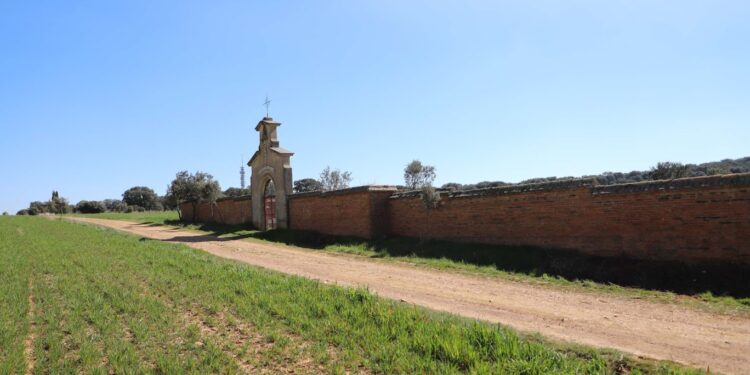 El Ayuntamiento inicia la recuperación de la ‘Senda del Pirulí’ como nueva zona verde y de ocio