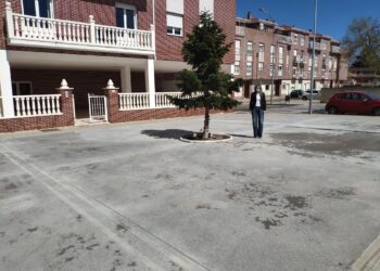 Hormigonado el parterre de la calle Francisco Maldonado para mejorar su imagen y evitar suciedad en la zona