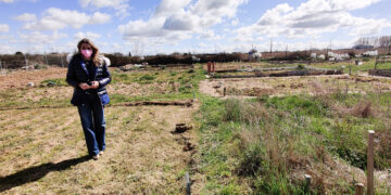 Santa Marta adjudica 46 huertos de ocio