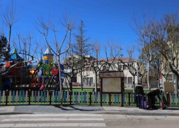 Voluntarios del municipio controlarán las colonias de gatos callejeros para evitar su propagación