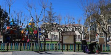 Voluntarios del municipio controlarán las colonias de gatos callejeros para evitar su propagación