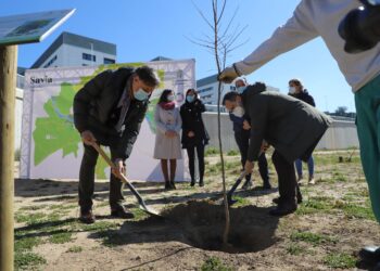 El ‘Bosque de los sanitarios’, nuevo símbolo de la lucha contra la pandemia