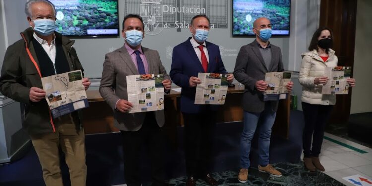 La Diputación impulsa el micoturismo en la provincia con el sendero micológico entre Tamames y Aldeanueva de la Sierra