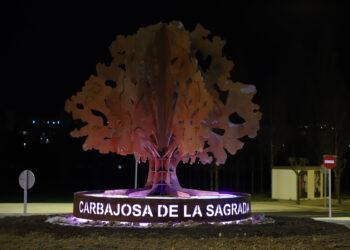 Carbajosa muestra su apoyo a las mujeres