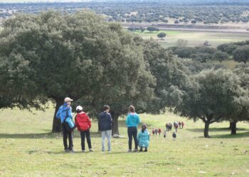 La dehesa salmantina se adentra en las aulas para que los escolares conozcan la riqueza ambiental de este ecosistema