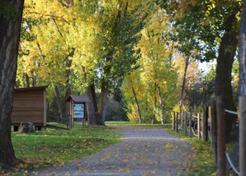 Lunes de Aguas en el alfoz