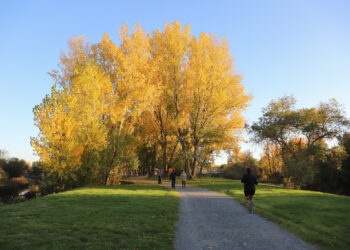 Lunes de Aguas en el alfoz