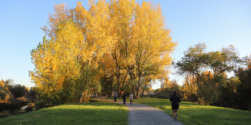 Lunes de Aguas en el alfoz