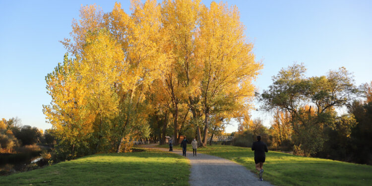 Lunes de Aguas en el alfoz