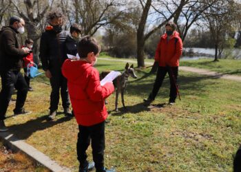 ‘Un sábado en movimiento’, nueva propuesta deportiva y de ocio para los jóvenes