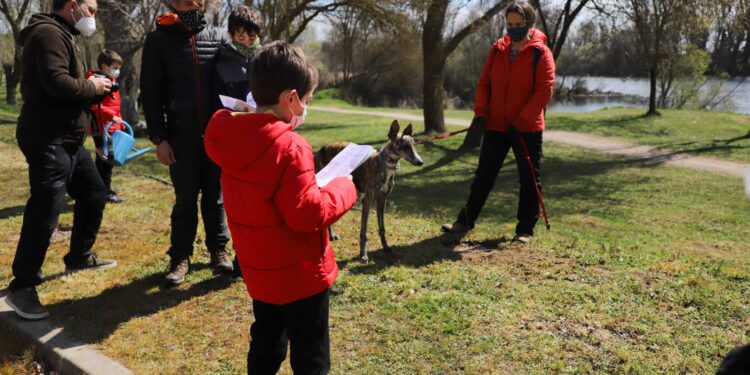 ‘Un sábado en movimiento’, nueva propuesta deportiva y de ocio para los jóvenes