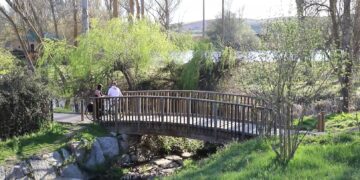 La Junta concede 2.227 ayudas directas al sector turístico por importe de 5,2 millones de euros