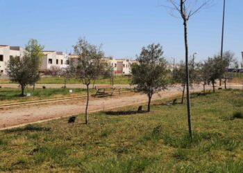 Doñinos destina 70.000 euros para la contratación del mantenimiento de jardines y zonas verdes