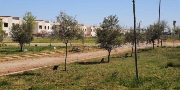 Doñinos destina 70.000 euros para la contratación del mantenimiento de jardines y zonas verdes