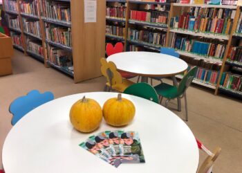 El Sistema de Bibliotecas de Castilla y León celebra sus 30 años con 335 centros integrados