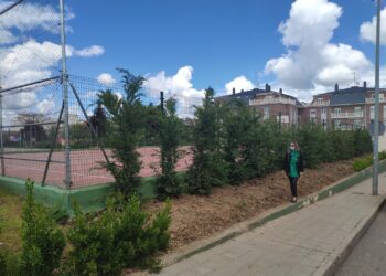 Inversión de 20.000 euros para mejorar la imagen de las zonas verdes del municipio