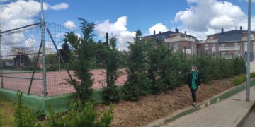 Inversión de 20.000 euros para mejorar la imagen de las zonas verdes del municipio