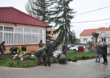 Formación en jardinería para acceder al mercado laboral