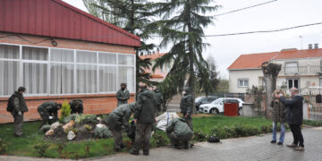 Formación en jardinería para acceder al mercado laboral