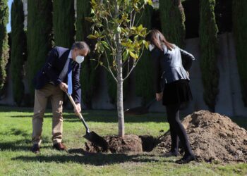 ‘Un árbol por Europa’, símbolo de la apuesta por el desarrollo sostenible