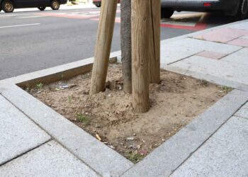 Mejora de la imagen a través de los alcorques de la ciudad