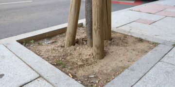 Mejora de la imagen a través de los alcorques de la ciudad