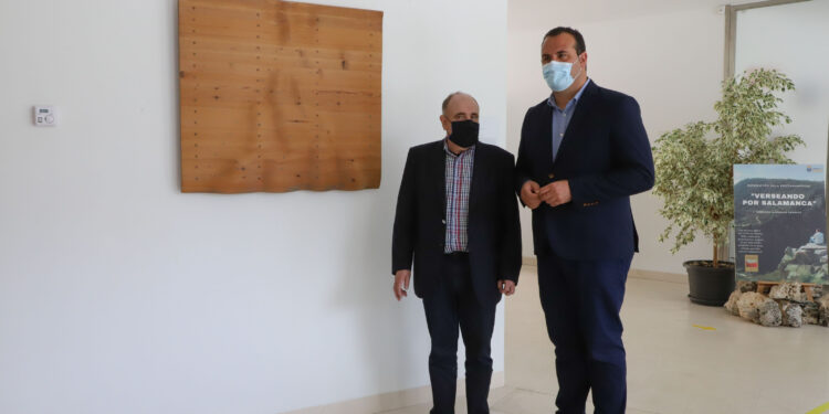 Visitas virtuales a los museos de arte contemporáneo de la provincia