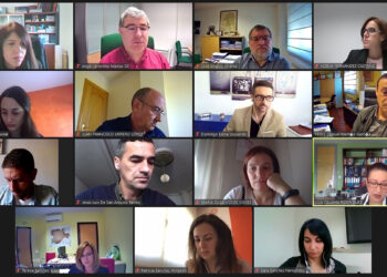 Apoyo unánime de los grupos políticos para que la CHD autorice la red separativa de agua de riego en las urbanizaciones