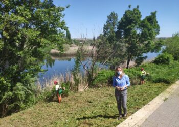 Los trabajos de limpieza y desbroce de la margen izquierda del río completan la regeneración de la ribera a su paso por el casco urbano