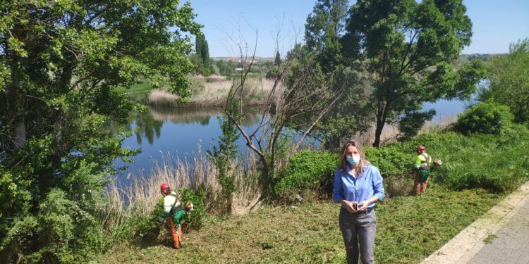 Los trabajos de limpieza y desbroce de la margen izquierda del río completan la regeneración de la ribera a su paso por el casco urbano