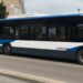 El municipio estrenará el servicio de bus búho a partir del viernes 4 de junio