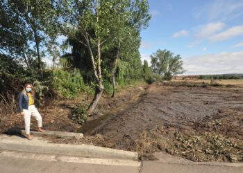 El Ayuntamiento limpia y despeja el cauce del arroyo de San Michel