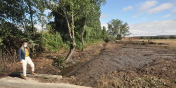 El Ayuntamiento limpia y despeja el cauce del arroyo de San Michel