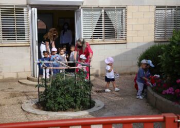 Formación en los centros educativos para fomentar la sostenibilidad medioambiental