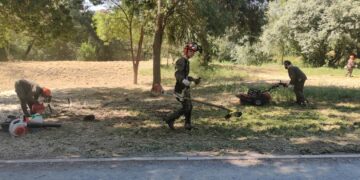 Trabajos de desbroce para tener a punto la Isla del Soto