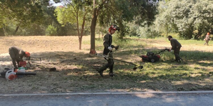 Trabajos de desbroce para tener a punto la Isla del Soto