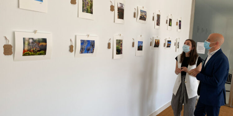 Alex Gutiérrez presenta la expo fotográfica, ‘El rincón inesperado’