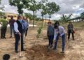 Más de 40 árboles frutales coronan el nuevo parque de Vega de Salamanca