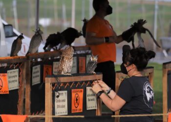 La ‘patatada’ solidaria y el tradicional desayuno de chocolate con churros centran las citas gastronómicas del fin de semana festivo en Aldeaseca de Armuña
