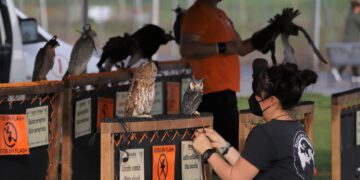 La ‘patatada’ solidaria y el tradicional desayuno de chocolate con churros centran las citas gastronómicas del fin de semana festivo en Aldeaseca de Armuña