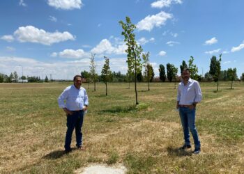 Una treintena de árboles comienzan a dar vida al ‘Bosque del Covid’