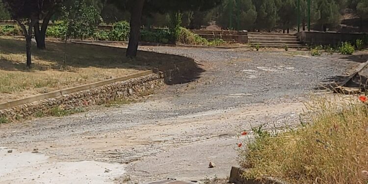 La recuperación de la zona del campo de fútbol inicia la reforestación ambiental del municipio